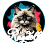 Ragdoll Cat