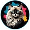 Katzenporträt Neon Spritzer im Kreis