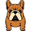 personalized bulldogs gift t-shirt dogs