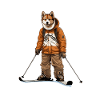 Akita chien ski ski
