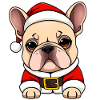 Bouledogue français comme Père Noël Noël