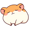 Sleeping hamster