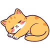 sleeping cat