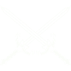 Crossed blades icon