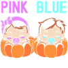 Halloween Gender Reveal