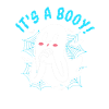 Halloween Gender Reveal Team Boy
