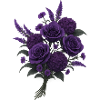 VIOLET FLOWER