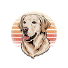 Life Is Golden Golden Retriever