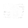 Fish Thoughts Flag Pattern