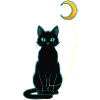Black Cat Night with Moon Balloon