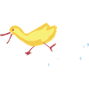 Peking Duck