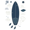 Surfboard Blueprint