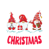 Gnomish Christmas Troupe