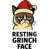 Christmas Not happy complainer