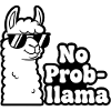 Impression contrastée No Prob Llama