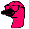 GAN'S SUNGLASSES