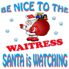 SANTA WAITRESS