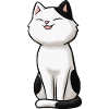 White Cat with Black Patches