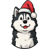 Husky Santa Pup