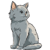Grey Velvet Kitten Illustration