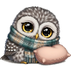 Woodowl with scarf and pillow