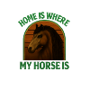 Home is my horse