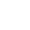 Limited Edition 1966