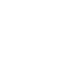 Limited edition 1996