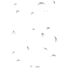 WHITE CAT ENERGY