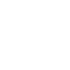 pilot