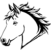 Personalized Horses T-shirt Gift Rider