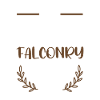 I Love Falconry