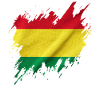 Bolivian flag, torn style