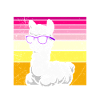 Bientôt maman MALAMA T'AIME Drôle