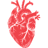 Anatomical Heart Motif Red