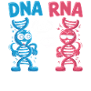 DNA RNA Love Duel Cartoon