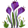 Blumen