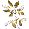 Fleur
