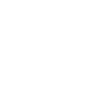 mystical fox
