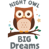 Night Owl – Funny Owl Shirt