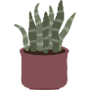 Snake Plant Minimal Pot Illustration
