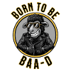 Born to Be BaaD Sheep