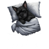 Official Sleep Shirt Affenpinscher Dog