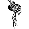 Black Bird of Paradise