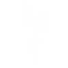 Oiseau du paradis blanc