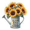 Bloom Where You’re Planted Sunflower Design