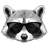 Raccoon