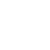 Power 974 Tropical Hibiscus