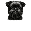 Belgian Midget Griffon Brussels Griffon Dad