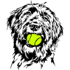 Briard Ball Balljunkie Dogs Wilsigns